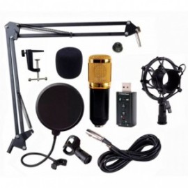 Kit Microfono Condensador Bm800 Tarjeta Usb..